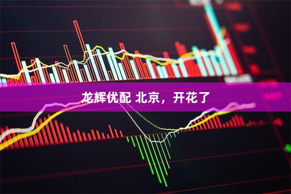 龙辉优配 北京，开花了