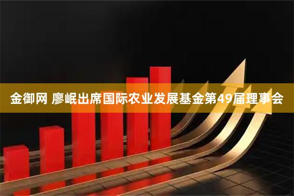 金御网 廖岷出席国际农业发展基金第49届理事会