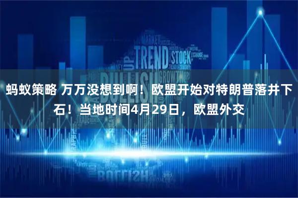 蚂蚁策略 万万没想到啊！欧盟开始对特朗普落井下石！当地时间4月29日，欧盟外交