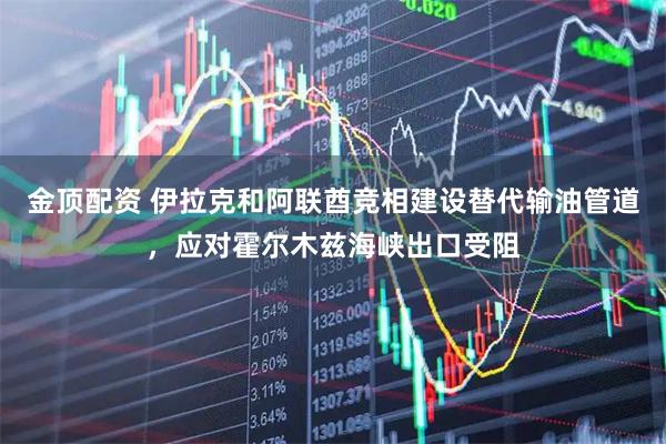金顶配资 伊拉克和阿联酋竞相建设替代输油管道，应对霍尔木兹海峡出口受阻