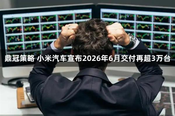 鼎冠策略 小米汽车宣布2026年6月交付再超3万台